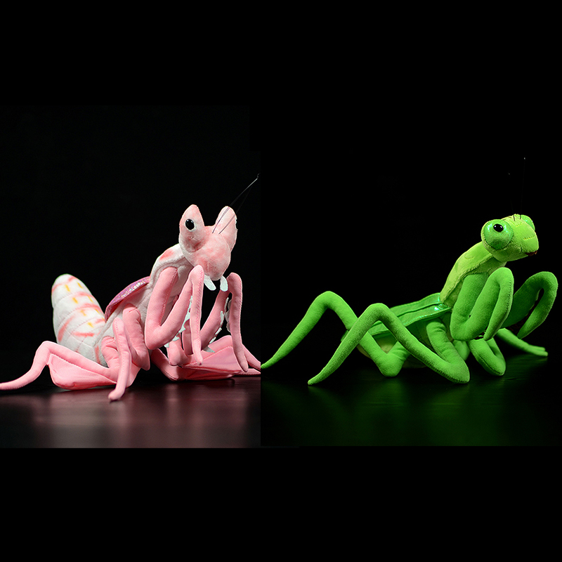 Sevimli Gerçekçi Pembe Orkide  - Orchid Kids Education incelemesi ve fiyatı