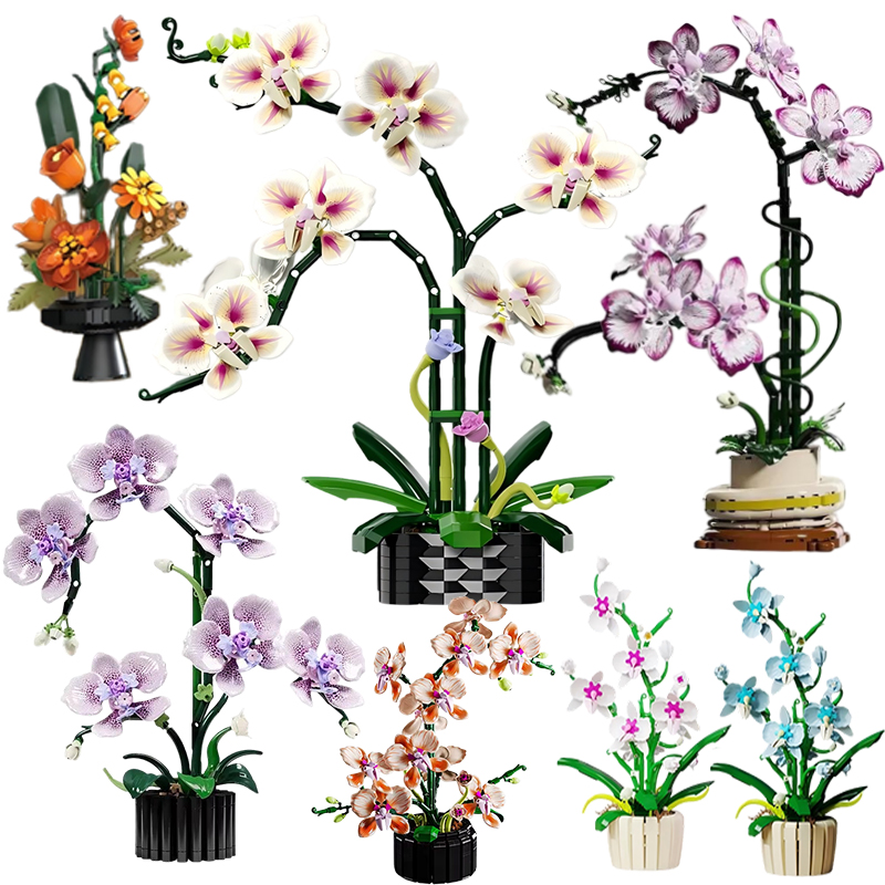 Orkide Saksı Bitkileri Simülas - Orchid Kids Education incelemesi ve fiyatı